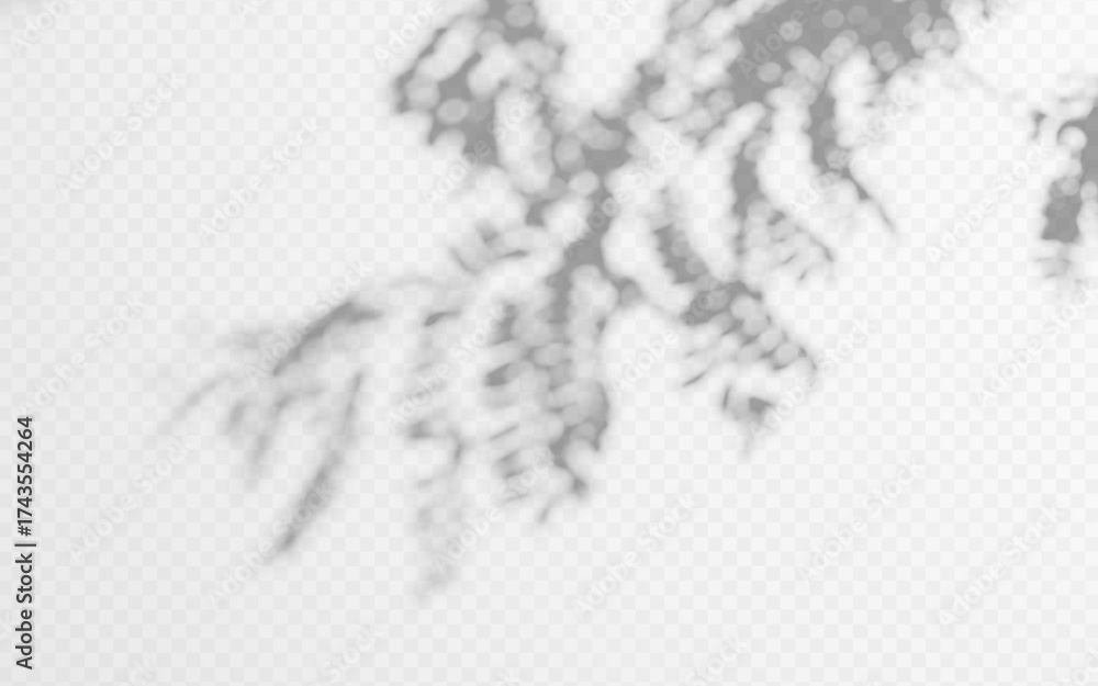 Wall mural shadow overlay from tree branch on a transparent background.