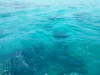 Blue water ripple texture on open vast ocean, with different shades of blue, dark blue, and light blue from sea base. Beautiful water ripple wave reflecting the sun lights.