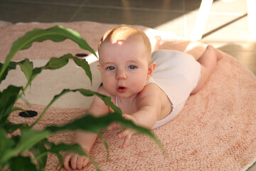 Six month old baby holding head and touching house plant leaves. Copy space, background.