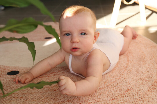 Six month old baby holding head and touching house plant leaves. Copy space, background.