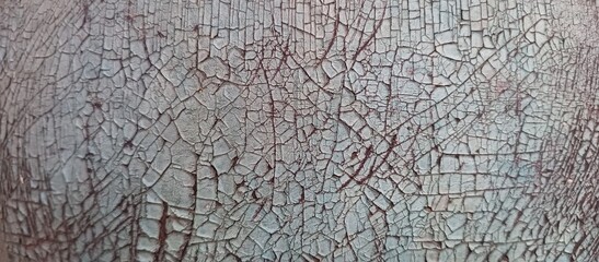 Highly Detailed Craquelure Texture of Cracked Peeling Paint