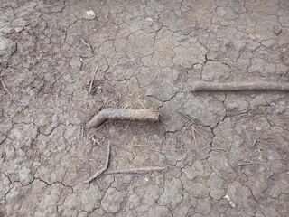 Dry Cracked Earth Ground Texture with Small Wood Pieces