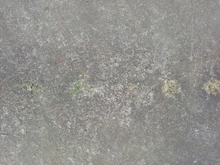 Rough Grainy Grey Concrete Background Texture with Green Moss