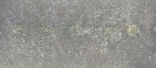 Rough Grainy Grey Concrete Background Texture with Green Moss