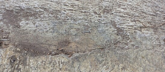 Rough Concrete Texture Divided by Line of Dirt and Debris