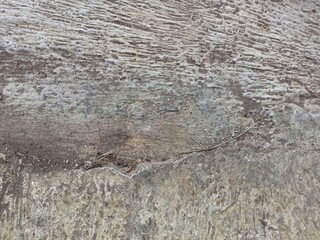 Rough Concrete Texture Divided by Line of Dirt and Debris