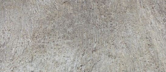 Rough Light Grey Concrete Cement Wall Background Texture