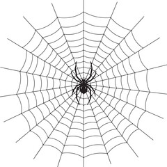 Obraz premium Intricate spider web with a creepy spider centered for halloween or spooky themes