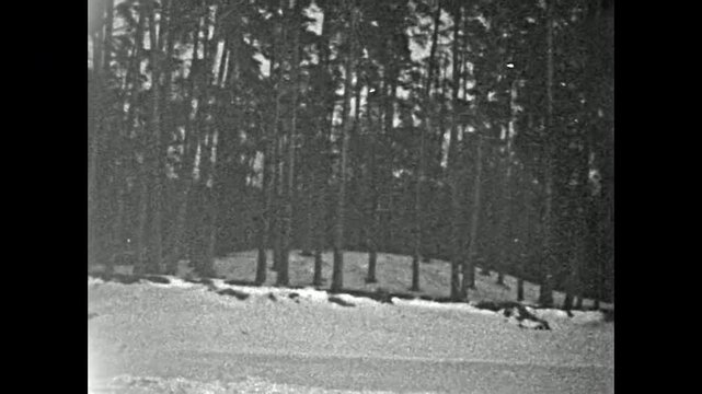 Vintage winter snow covered forest, black white film. Snowy landscape of pine snow nature. No people. Beautiful retro nostalgic grain background. Season travel. Old archive. Archival retro 1960s