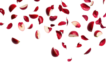 Fresh red apple slices falling isolated on transparent background. Flying apple wedges falling pieces of red apple fruit isolated on white background.
