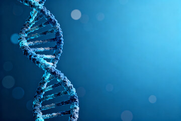 DNA double helix structure