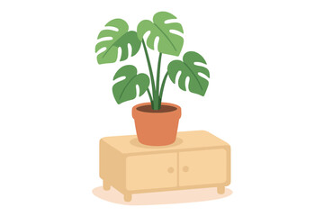 Potted Monstera deliciosa houseplant on wooden cabinet in modern interior