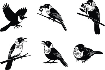 Vector Illustration Set of Small Songbirds Perched, Singing, Flying and Feeding on Flowers for Nature, Wildlife, and Graphic Design