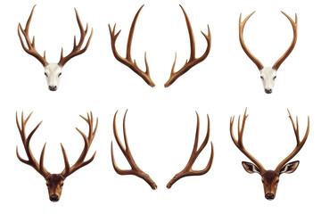 Fototapeta premium Collection of deer antlers isolated on transparent background. Set of antlers isolated on white background.