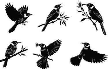 Vector Silhouettes of Tropical Birds in Flight and Perching with Flowers and Branches for Nature, Wildlife, and Design Illustrations