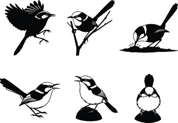 Wren Bird Vector Silhouettes Featuring Flying, Perched, Singing and Feeding Poses for Nature Wildlife Art and Graphic Design Projects