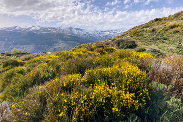 Hiking trail to Mulhacen peak in the spring in Sierra Nevada National Park, Spain