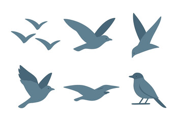 Set of stylized blue-gray bird silhouettes showing flight and resting poses