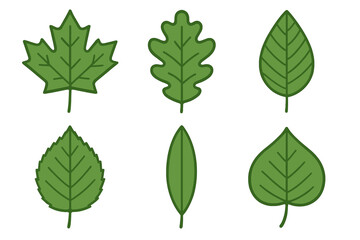 Collection of stylized green leaves featuring different tree species shapes and textures