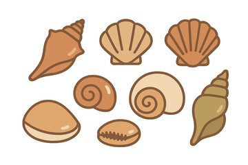 Stylized set of marine seashells, conch, scallop, and spiral mollusks
