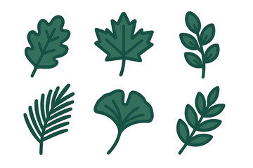 Collection of various stylized green leaves and natural foliage elements