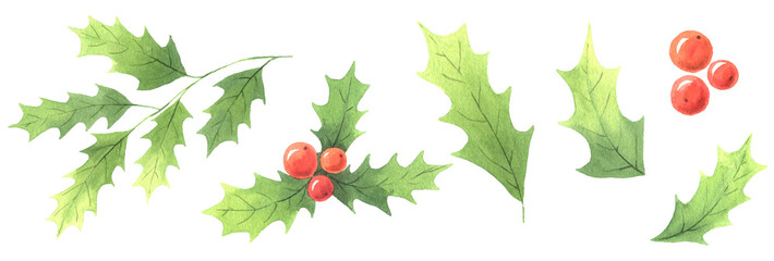 Fototapeta premium Watercolor Classic Christmas floral set of winter leaves and berries isolated clipart. Perfect for holiday postcards, fabric or scrapbooking