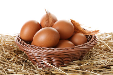 Raw chicken eggs, feathers and wicker basket on straw against white background