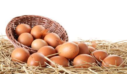 Raw chicken eggs, feathers and wicker basket on straw against white background