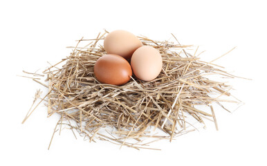 Chicken eggs in nest isolated on white