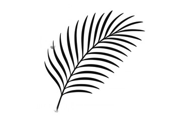 Obraz premium Tropical palm tree leaf silhouette vector illustration, drawing minimal natural plant graphic on transparent background
