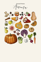 Hand-drawn vector poster of autumn seasonal produce. Includes pumpkins, squash, apples, pears, carrots, beets, spices, berries, and pies — perfect for kitchen decor, menus, food design, and seasonal 