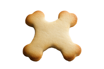 Gingerbread man cookie with cross detail isolated on transparent background. Bone shape dog cookie isolated on white background.