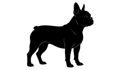 Silhouette of a French Bulldog