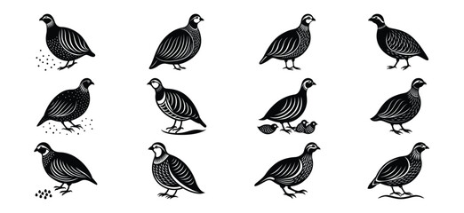 Collection of cute yellow ducklings in various adorable poses and activities