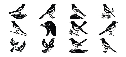 Collection of adorable cartoon sheep and lambs in various cute outfits and poses