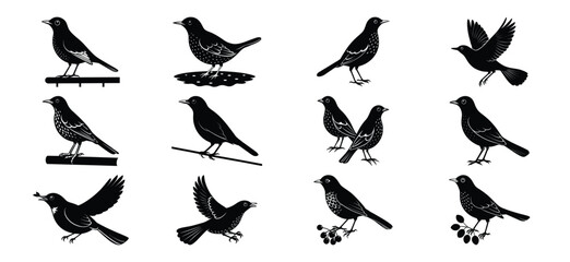 Collection of black silhouette bird illustrations in various poses and actions