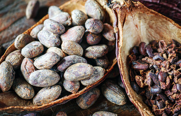 Close-up of brown cocoa beans and cocoa nibs with dry cacao pod