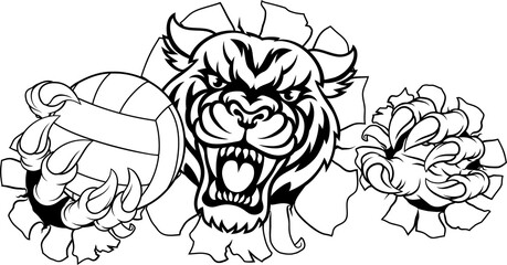 Tiger Volleyball Volley Ball Animal Sports Mascot