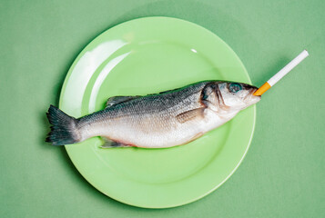 Raw fish with cigarette on green plate symbolizing humor and burnout