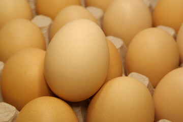 Fresh yellow chicken eggs in tray