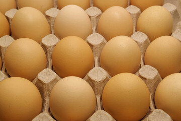 Fresh yellow chicken eggs in tray