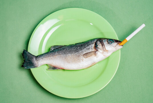 Raw fish with cigarette on green plate symbolizing humor and burnout