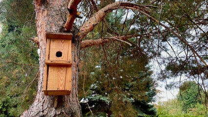 Wooden Birdhouse on Pine Tree Trunk in Forest or Park. Ecology, Nature, Wildlife, Home, Horizontal, Outdoor