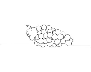 Continuous one line drawing of grapes fruit. One line drawing illustration of bunch of grapes. Healty fruit concept single line. Editable outline