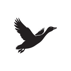 Silhouette of Flying Duck with Extended Wings Vector Design.