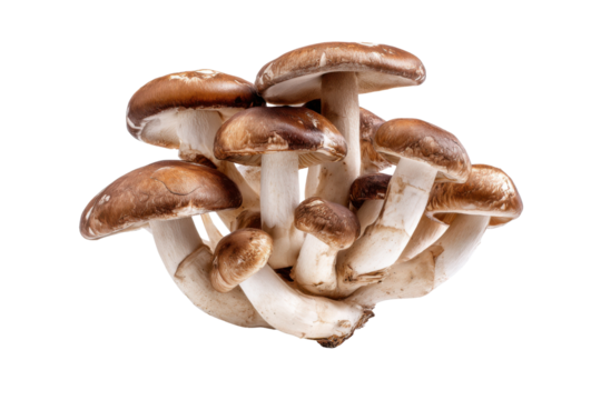 Savory Shiitake Mushrooms: A cluster of fresh, earthy shiitake mushrooms, celebrated for their rich flavor and culinary versatility.