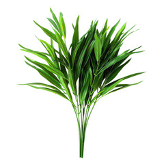 Fototapeta premium Realistic green leaves bunch perfect for home decor or wedding arrangements in any setting