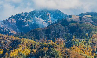 mountains in the morning