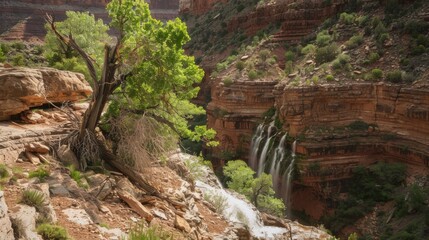 Natural Waterfall Wonders: Flowing Streams, Forested Mountains, and Moss-Covered Rocks in Outdoor Landscapes