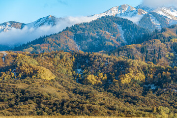 mountain landscape in the mountains